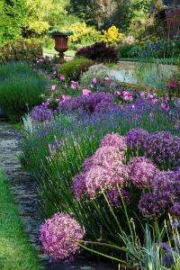 Raveningham garden summer border